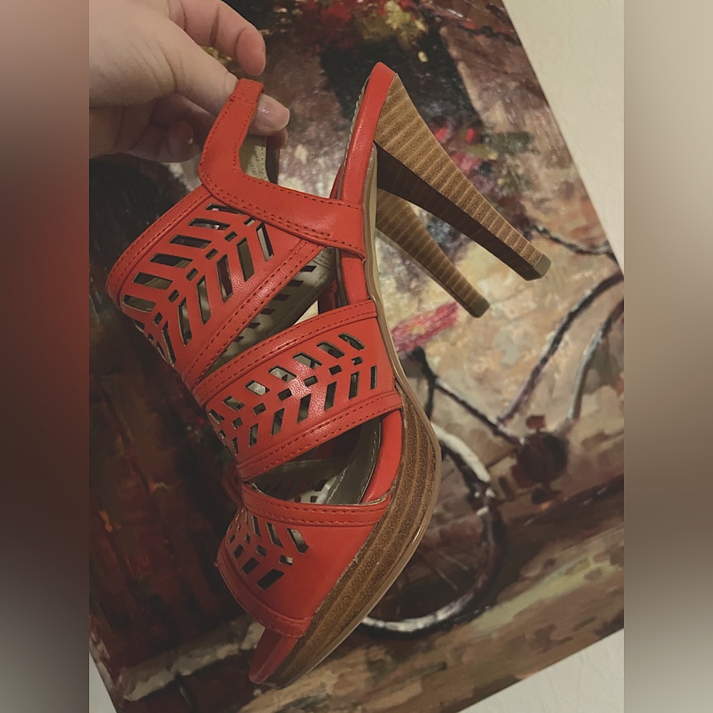 Adrienne Vittadini heels.